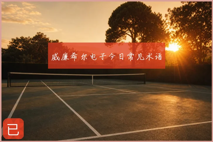 威廉希尔电子今日常见术语