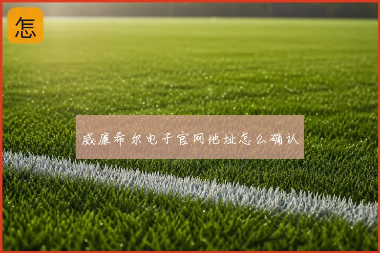 威廉希尔电子官网地址怎么确认